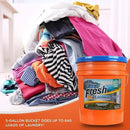 Ultra Fresh 5 Gallon Liquid Laundry Detergent Washing Soap for All Machine Types, 6X Platinum, Up to 640 Loads, Mountain Fresh by CozyNest Decor