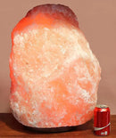 Giant Natural Himalayan Crystal Rock Salt Lamp 125~135 lbs by CozyNest Decor