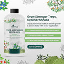 32oz Tree and Shrub Plant Food - Makes 32 Gallons of Tree and Shrub Fertilizer, Liquid Plant Fertilizer for Healthy Roots, Foliage & Year-Round Growth, Nutrient-Rich Formula for All Trees & Shrubs by GreenHaven Gardens