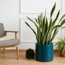 D'vine Dev 14 Inch Ceramic Planter Pot with Drainage Hole and Saucer, Indoor Cylinder Round Planter Pot, Teal, 94-O-G-9 by GreenHaven Gardens