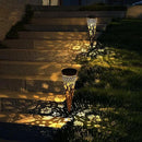 KAIXOXIN Solar Garden Lights, Metal Hummingbird Pathway Lights, Outdoor Landscape Lighting for Patio, Backyard, Walkway (Hummingbird, 2) by GreenHaven Gardens