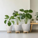 10 Inch Plant Pot Ceramic Planter Pot with Drainage Hole and Saucer Round Planter Large Flower Pot for Indoor Outdoor Plants Home Garden Decor White by CozyNest Decor