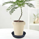 Plant Saucer 18 Inch, Extra Large Planter Saucer 2 Pack, Plastic Plant Saucers for Indoors and Outdoors, Plant Pot Saucers, Drainage Tray for 16, 17, 18 in Planters by GreenHaven Gardens