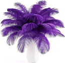 THARAHT 24pcs Purple Ostrich Feathers Natural Bulk 10-12Inch 25cm-30cm for Wedding Party Centerpieces Easter Gatsby and Home Decorate Ostrich Feather by CozyNest Decor