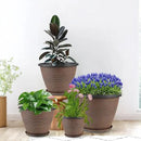 4 Pack 8 inch Plant Pot, Plastic Pots for Plants Indoor, Round Planters for Outdoor Plants with Drainage Holes & Trays, Decorative Flower Pots Garden Containers Sets for Houseplants (Black Copper) by CozyNest Decor