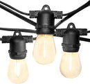 Hometown Evolution, Inc. 100' E26 Commercial LED Outdoor String Lights (100 Foot 50 Socket, S14 LED Filament 1 Watt Light Bulbs) by GreenHaven Gardens
