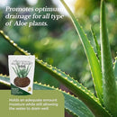 Professional Aloe Plant Soil | Premium All Purpose Blend | Large 2.2 Quarts | Ready to Use for Aloe, Cactus, Succulent Plants | Pinebark, Peat, Course Sand | Made in USA by GreenHaven Gardens