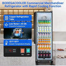 BODEGACOOLER Commercial Beverage Refrigerator Glass Door,18.1 Cu.Ft Commercial Display Merchandiser Fridge,Upright Display Bar Cooler with Soft LED Light,Adjustable Shelves,Aluminum Door,Black by CozyNest Decor