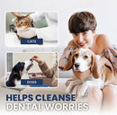 RAD PET - Advanced Pet Dental Hygiene Kit, Vet-Formulated Cat & Dog Tooth Brushing Kit, Complete Oral Care with Cat/Dog Toothbrush and Toothpaste (Enzymatic), Pet Dental Wipes & Water Additive by CozyNest Decor