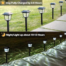 LeiDrail Solar Pathway Lights 8 Pack Solar Garden Lights with 2 Modes Waterproof Outdoor Path Light Warm White/Cool White LED Landscape Lighting for Yard Lawn Sidewalk Driveway Garden by GreenHaven Gardens
