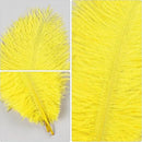 THARAHT Yellow Ostrich Feathers 12pcs Natural Bulk 8-10Inch 20cm-25cm for Crafts Wedding Party Centerpieces Halloween and Home Decoration Feathers by CozyNest Decor
