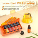 ASAKUKI Essential Oils for Diffusers for Home, Fragrance Oil for Candle Making, Peppermint, Vanilla Cupcake, Sparkling Cinnamon, Spiced Pumpkin, Christmas Wreath and Apple Cinnamon 6 x 10 ml by CozyNest Decor