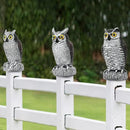 3-Pack Owl Decoys for Bird Deterrent - Weatherproof Bird Repellent Devices for Outdoor Use - Plastic Owls to Scare Birds Away and Control Garden Pests by GreenHaven Gardens