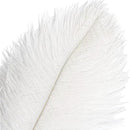 THARAHT 12pcs White Ostrich Feathers Natural Bulk 20-22Inch 50cm-55cm for Wedding Party Centerpieces Easter Gatsby and Home Decorate Ostrich Feathers by CozyNest Decor