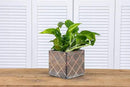 Wood Planter Box with Diamond Cross Hatch Style, 5 Inch Square, Rustic Barn Wood, Plastic Liner, Wedding Flowers Holder, Home and Venue Decor (5x5 Diamond Cross Hatch Set of 4, Natural) by GreenHaven Gardens