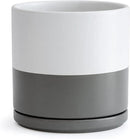 D'vine Dev 10 Inch Ceramic Planter Pot with Drainage Hole and Saucer, Indoor Cylinder Round Planter Pot, White/Speckled Grey, 94-O-E-6 by GreenHaven Gardens