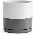D'vine Dev 10 Inch Ceramic Planter Pot with Drainage Hole and Saucer, Indoor Cylinder Round Planter Pot, White/Speckled Grey, 94-O-E-6 by GreenHaven Gardens