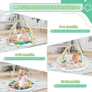 Baby Play Mat, 4-in-1 Baby Play Gym Tummy Time Mat with Ball Pit and 5 Detachable Toys for Newborn to Develop Sensory Exploration and Motor Skill 0-6-12 Months by TinyTreasures Baby Boutique