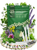 25 Culinary Classic Herb Seeds Variety Pack - 13,055+ Non-GMO Heirloom Herbs Seeds for Planting Indoor & Outdoor: Lavender, Rosemary, Dill, Mint, Catnip, Basil - Gardening Seeds Packets by GreenHaven Gardens