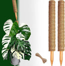 2 Pack 21 Inch Moss Poles, Stackable Moss Pole for Plants Monstera, 37 Inch Tall Moss Poles for Climbing Plants Indoor, Coir Totem Plant Support Stakes Stand for Potted Plants, Pothos by GreenHaven Gardens