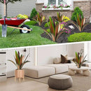 TOMBABY Enlarge thickened Wind Resistant Metal Agave Garden Art Plant Country Sculpture Statue Outdoor decoration Courtyard Lawn Ornament Gift (12 Leaves Green 2 pcs) (TB-410-415) by CozyNest Decor
