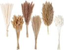 Dried Pampas Grass Decor, 120 PCS Pampas Grass with Bunny Tails Dried Flowers, Reed Grass Bouquet for Wedding, Boho Flowers, Home Table Decor, Rustic Farmhouse Party (White and Brown) by CozyNest Decor
