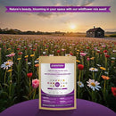 200,000 Wildflower Seeds Mix Bulk - Includes 16 Perennial Wildflower Seeds for Indoor & Outdoor Gardens - Premium Garden and Wildflower Seeds Combo by GreenHaven Gardens