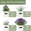 PERFNIQUE Indoor Herb Garden, Herb Garden Planter Set with Tray, Farmhouse Indoor Plant Pots, Windowsill Herb Garden with Drainage(Planter only) for Indoor/Outdoor, Window Pots(White) by GreenHaven Gardens