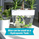 Back to the Roots Indoor Aquaponic Garden - 3 Gallon Self Watering, Mess-Free Planter and Self-Cleaning Fishtank for Herbs, Microgreens, Bamboo, Succulents, and Houseplants, support Fish by GreenHaven Gardens