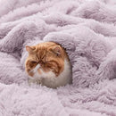 Bedsure GentleSoft Fuzzy Sherpa Faux Fur Twin Blanket Lavender Purple Cozy Gifts for Women Men, Soft Fleece Plush Warm Thick Blanket Twin Size for Bed, Room Dorm Essentials Purple Decor Gifts, 60x80 by CozyNest Decor