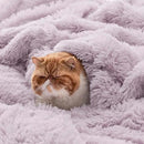 Bedsure GentleSoft Fluffy Lavender Purple Blankets Queen Size for Bed, Thick Sherpa Faux Fur Fleece Fuzzy Plush Winter Warm Soft Queen Blankets, Bedroom Purple Decor Cozy Gifts for Women Men, 90x90 by CozyNest Decor