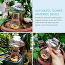 Yardwe 5PCS Plant Watering Globes, 300ML Self-Watering Bulb Mushroom Shape Watering Bulb Plant Waterer Stakes for Indoor Outdoor Plants by GreenHaven Gardens
