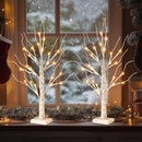 2ft Lighted Indoor & Outdoor Birch Tree by EP Designlab LLC