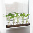 YIBOT Plant Propagation Stations,Glass Propagation Vases for Plants Terrarium with Wooden Tray Plant Lover Gifts for Propagating Hydroponic Plants Home Office Decor(5 Vase) by CozyNest Decor