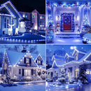 Brightown C9 LED Christmas String Lights, 66ft 100 LED Waterproof Strawberry String Lights, Plug-in Extendable Green Wire Lights String for Outdoor Outside Patio Party Decoration, Blue and White by GreenHaven Gardens
