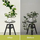Chain Trellis for Climbing Plants - Indoor & Outdoor House Plant Accessories for Monstera, Pothos, Ivy, and More | Garden Wall Trellis and Plant Vine Support - Houseplant Accessories and Plant Gifts by CozyNest Decor