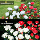 Solar Garden Lights, Solar Outdoor Lights with More Realistic 20 Rose Waterproof Solar Powered Flowers Lights for Outside Patio Yard Pathway Decorations, White and Red by GreenHaven Gardens