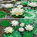 Lily Pad for Ponds, 9 PCS Artificial Lotus, Realistic Water Floating Foam Lotuses Fake Lily Pad for Home Garden Patio Pond by GreenHaven Gardens