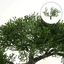 Artificial Bonsai Tree Juniper Faux Plants Indoor Small Fake Plants Decor with Ceramic Pots for Home Table Office Desk Bathroom Shelf Bedroom Living Room Farmhouse Decorations by GreenHaven Gardens