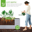 Best Choice Products 8x4x2ft Outdoor Metal Raised Garden Bed, Deep Root Planter Box for Vegetables, Flowers, Herbs, and Succulents w/ 478 Gallon Capacity - Moonlight Gray by GreenHaven Gardens