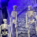 16 Pcs Halloween Mini Skeleton Figurine Decoration,6”Halloween posable Skeleton Decor,Small Plastic Skeleton Figure for Spooky Home Decor Haunted House Decorations Party Favors by CozyNest Decor
