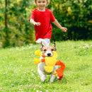 Pets Dog Toys Screaming Chicken Sound Toy Puppy Bite Resistant Chew Toy Interactive Squeaky Dog Toy Puppy Dog Accessories