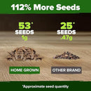 HOME GROWN 𝗨𝗦𝗔 53 White Lilac Flower Seeds Non-GMO, Heirloom Tree Seeds for Planting, Fragrant Flowering Tree Seeds for Landscaping, Pollinator Gardens, and Ornamental Borders (Syringa reticulata) by GreenHaven Gardens
