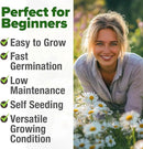 HOME GROWN 𝗨𝗦𝗔 𝗣𝗥𝗘𝗠𝗜𝗨𝗠 German Chamomile Seed Pack – 2,280 𝗡𝗢𝗡-𝗚𝗠𝗢 Heirloom Seeds for Planting for Sustainable Gardens and Soothing Medicinal Herbal Teas (Matricaria chamomilla) by GreenHaven Gardens