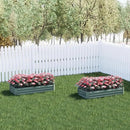 Aoodor 4 x 2 x 1 ft Outdoor Raised Garden Bed, Reinforced Galvanized Steel Planter Box for Vegetables, Flowers,Fruits and Herbs by GreenHaven Gardens