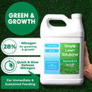 Maximum Green & Growth Fertilizer High Nitrogen 28-0-0 Lawn Food Liquid Fertilizer- Spring & Summer- Any Grass Type- Simple Lawn Solutions - Concentrated Quick & Slow Release Blend (1 Gallon) by GreenHaven Gardens