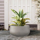 Kante 11.8" Dia Round Concrete Planter, Cement Plant Pots with Drainage Hole and Rubber Plug for Outdoor Indoor Garden Home, Modern Curvaceous Design, Weathered Concrete by GreenHaven Gardens