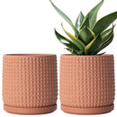 D'vine Dev Set of 2 Ceramic Plants Pots, 6 Inch Beaded Stoneware Flower Pot for Plants with Drainage Hole and Saucer, Terracotta, 27-E-X-7 by GreenHaven Gardens