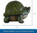 Stocky Turtle Garden and Patio Decor and Key Hider - Holds 2 Hidden Keys Outside, Secret Hidden Door Underneath by GreenHaven Gardens