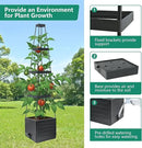 Raised Garden Bed Planter Box with Trellis, 58”Tomato Planter with Trellis for Climbing Plants Vegetables Vine Flowers, Self-Watering Tomato Cage for Garden Patio Outdoor & Indoor by GreenHaven Gardens